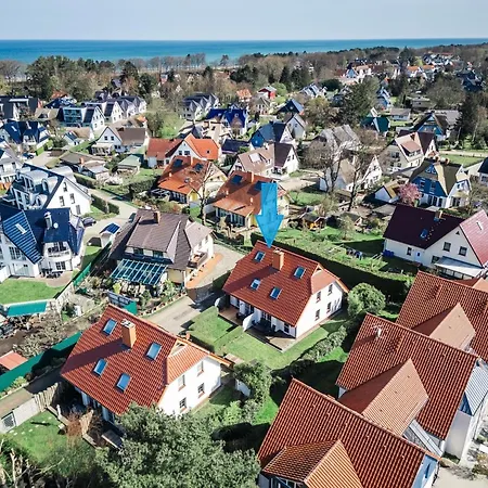 Rauchschwalbe * Zingst